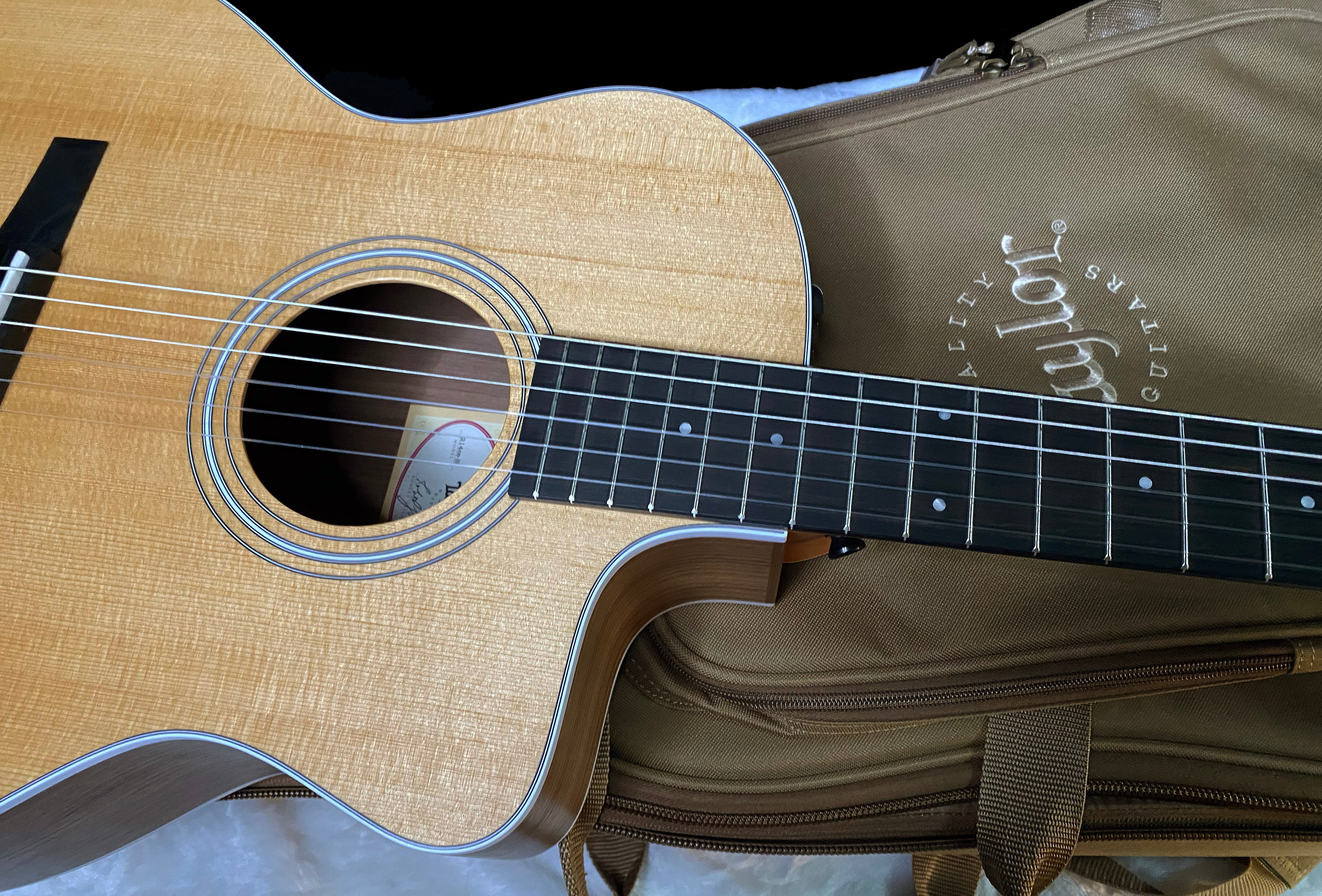 NEW! Taylor 214ce-N Nylon Grand Auditorium Acoustic-Electric Guitar Natural Finish - 4.1lbs - Authorized Dealer - G06219
