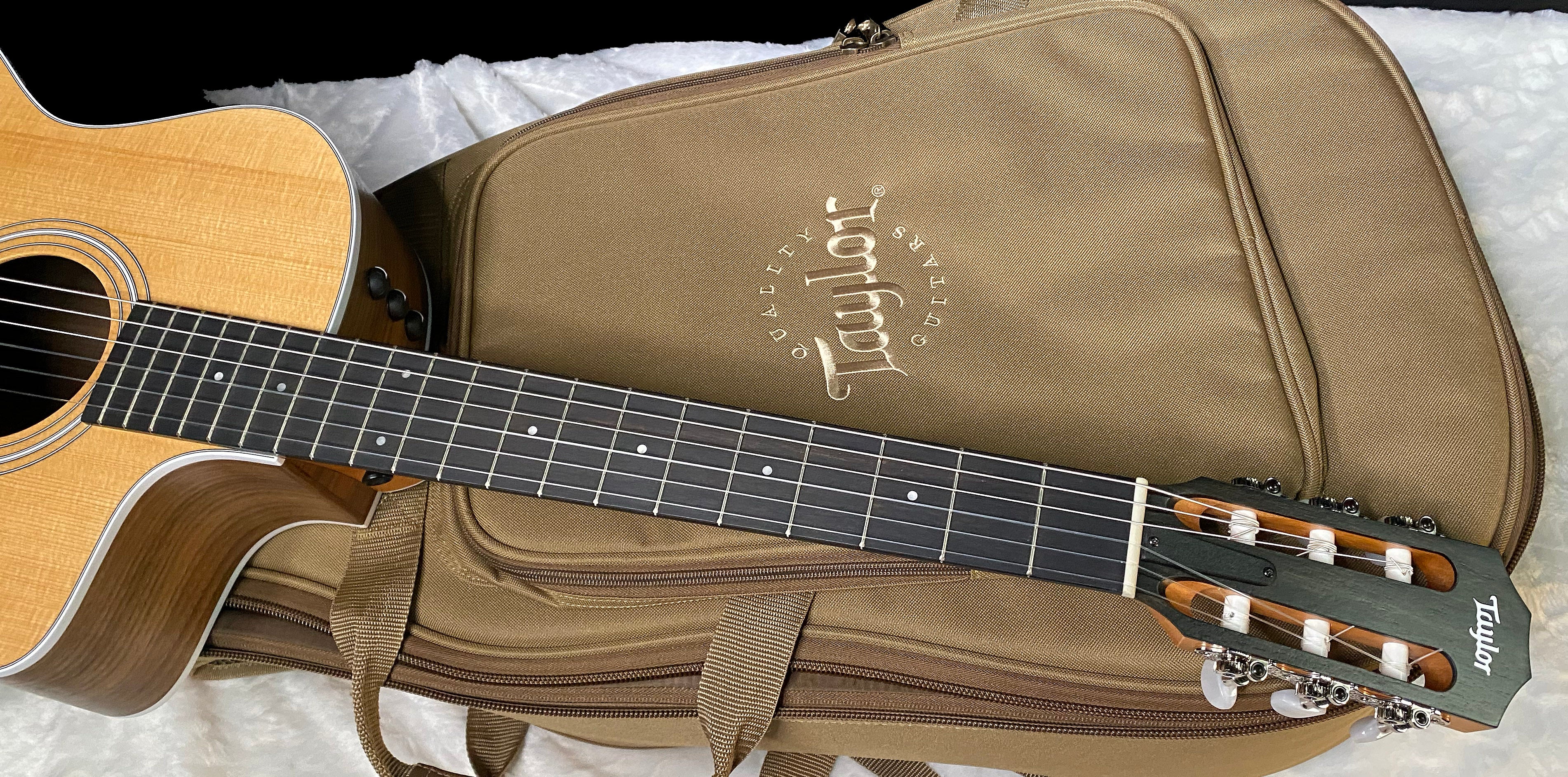 NEW! Taylor 214ce-N Nylon Grand Auditorium Acoustic-Electric Guitar Natural Finish - 4.1lbs - Authorized Dealer - G06219