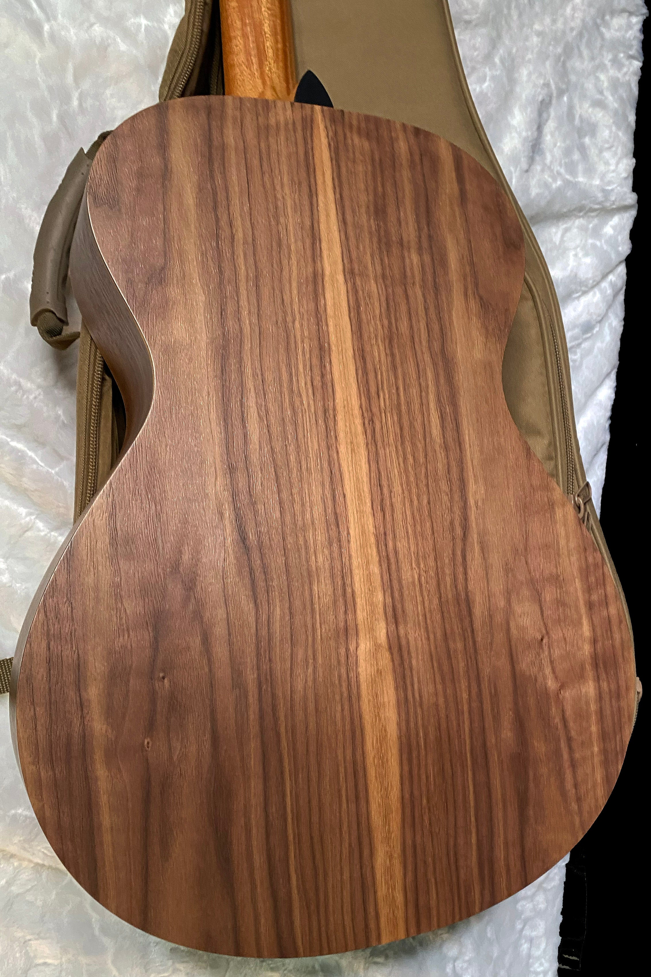 NEW ! Taylor Academy 12e-N Nylon-string Acoustic-electric Guitar - Natural - 4lbs - Authorized Dealer - G06235