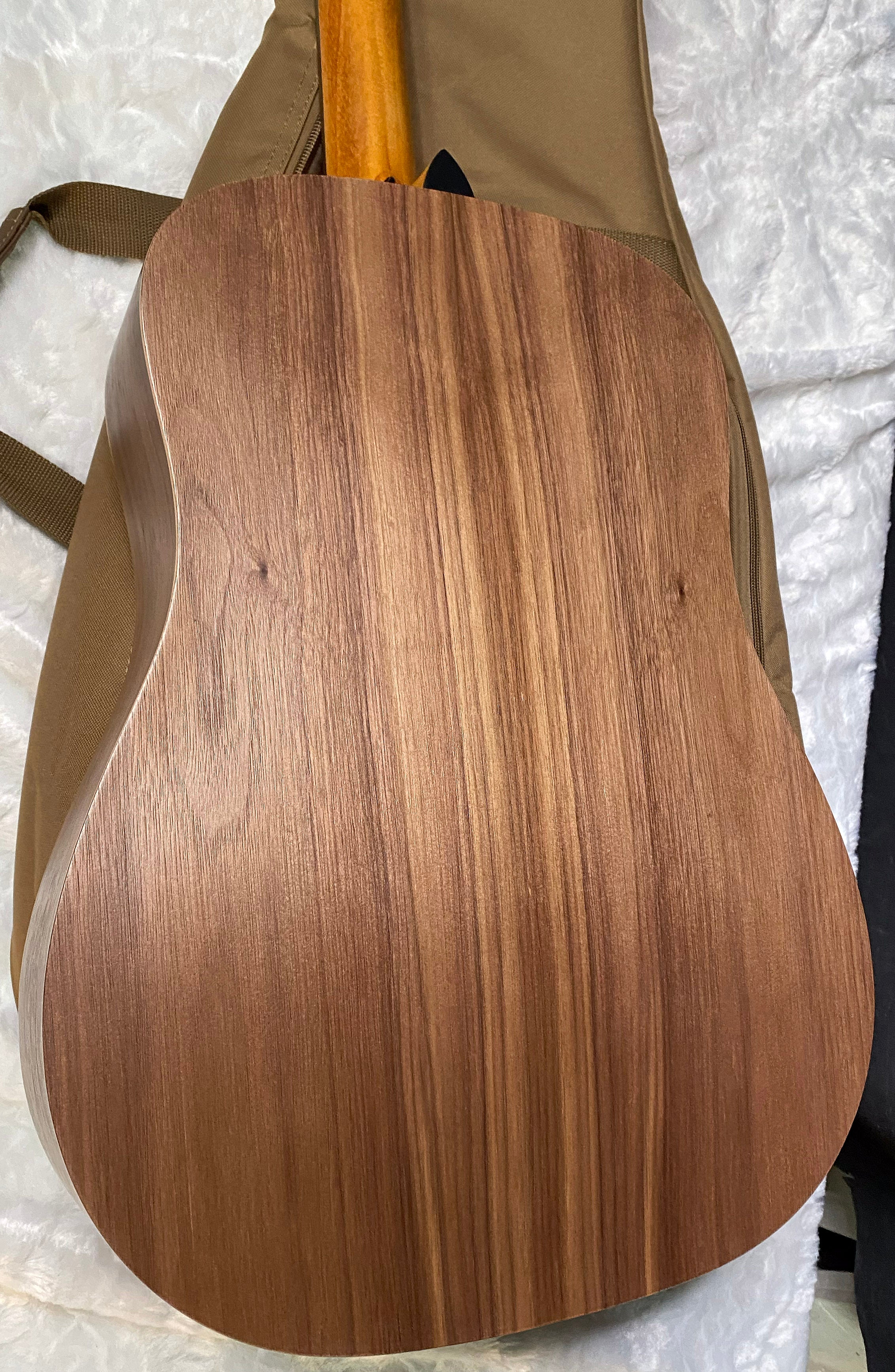 NEW! Taylor Academy 10e Acoustic-Electric Guitar - Natural - 4lbs - Authorized Dealer - G06259