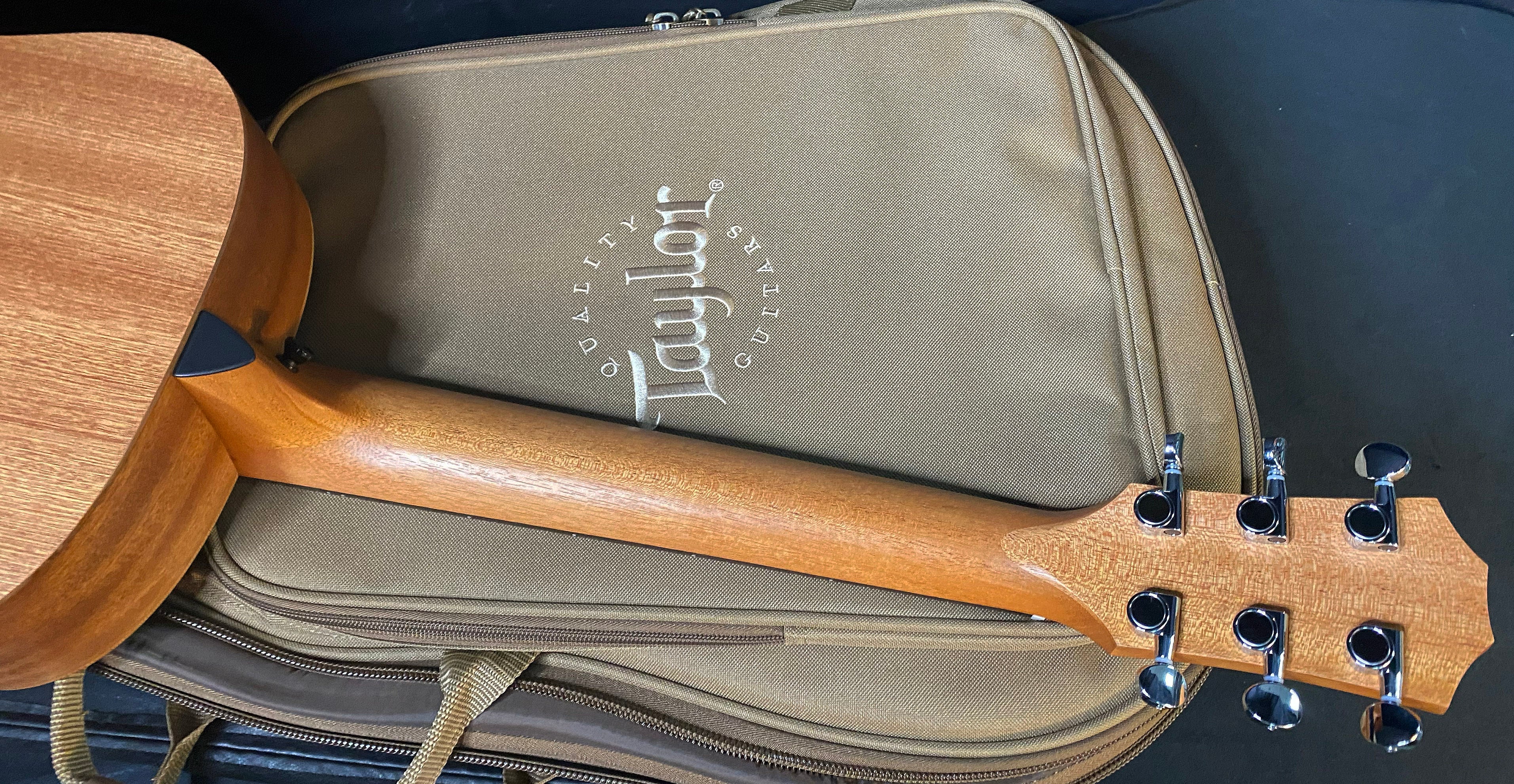 NEW Taylor Guitars 4 Vets GS Mini Americana Special Edition Acoustic Guitar - Custom Artwork - G05685