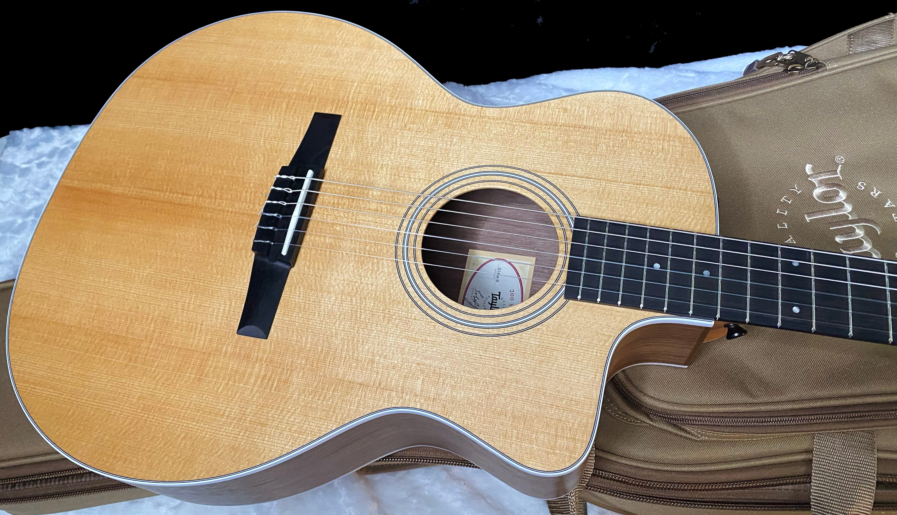 NEW! Taylor 214ce-N Nylon Grand Auditorium Acoustic-Electric Guitar Natural Finish - 4.1lbs - Authorized Dealer - G06219