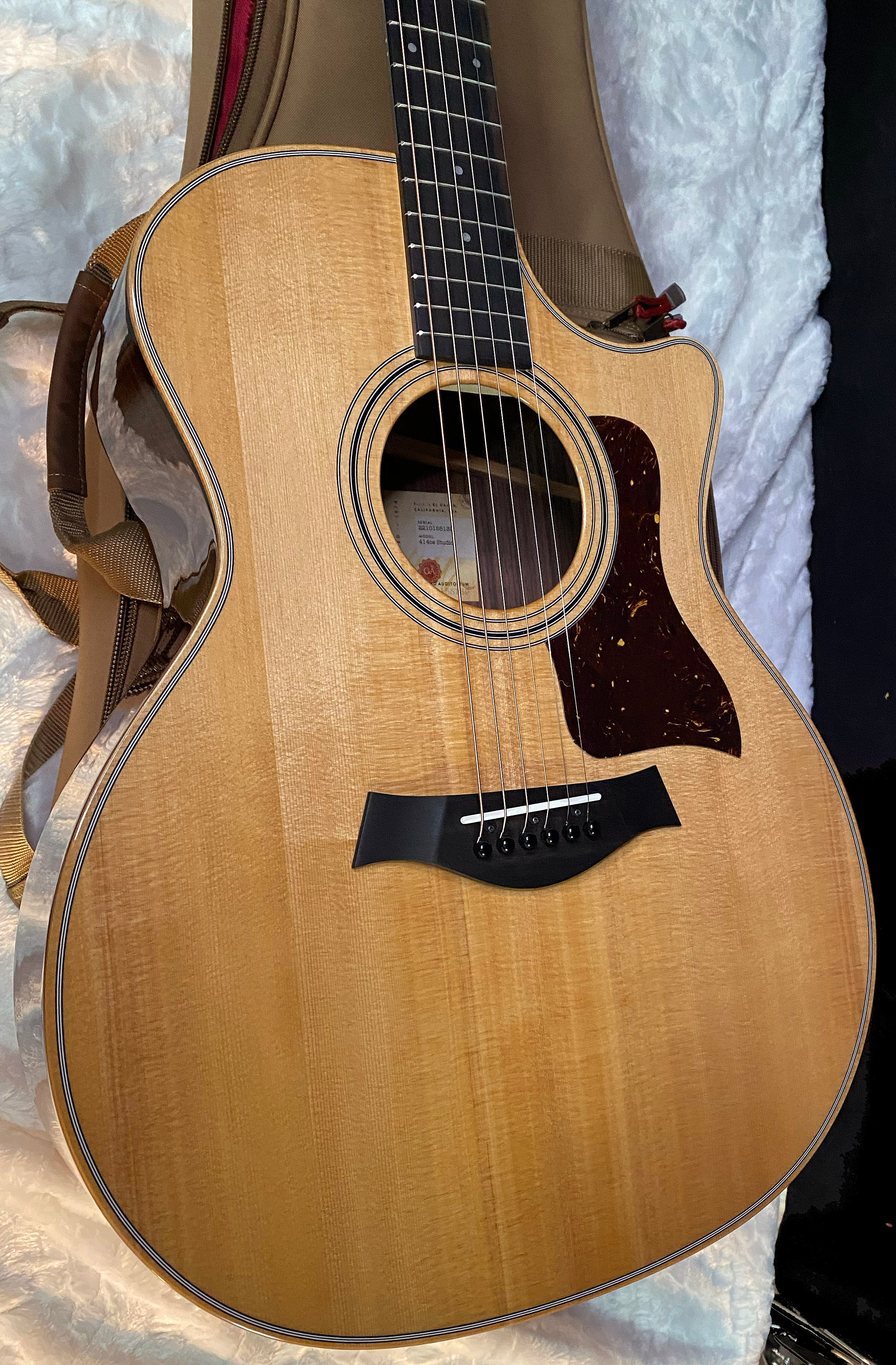 NEW! Taylor 414ce Studio Acoustic-Electric Guitar - Natural - 4.75lbs - Authorized Dealer - G06269
