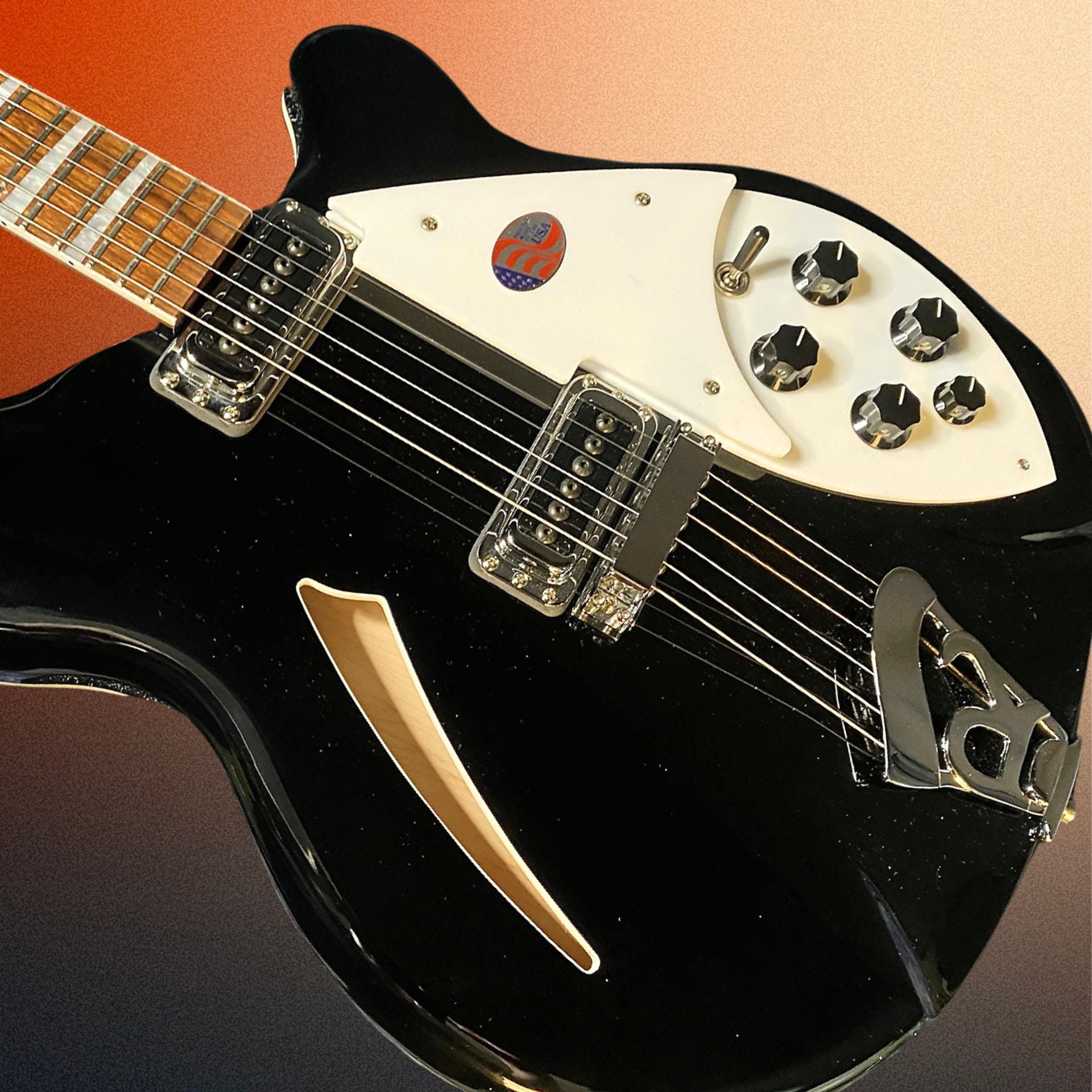 NEW! 2024 Rickenbacker 360 JetGlo