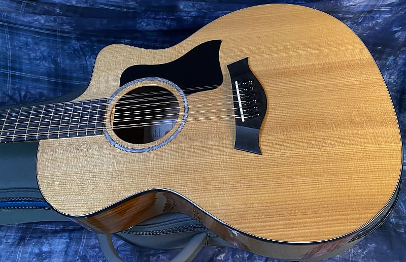 NEW ! 2024 Taylor 254ce Plus 12-string Acoustic-Electric Guitar - Authorized Dealer - 5.1lbs - G03738