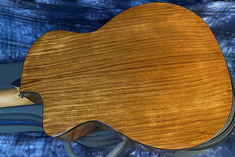 NEW ! 2024 Taylor 254ce Plus 12-string Acoustic-Electric Guitar - Authorized Dealer - 5.1lbs - G03738