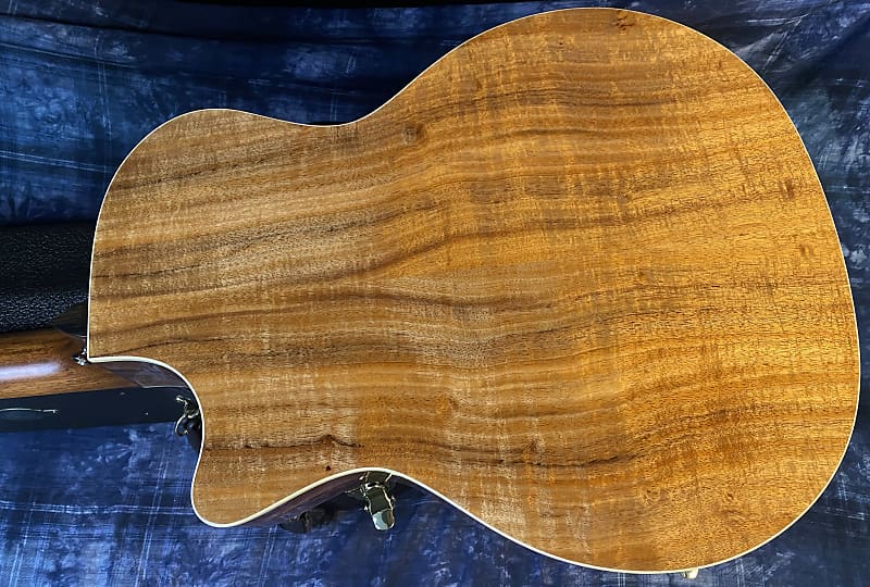 MINT! Taylor 514ce LTD  - Tasmanian Blackwood Back - Western Red Cedar Top - Authorized Dealer - G03737