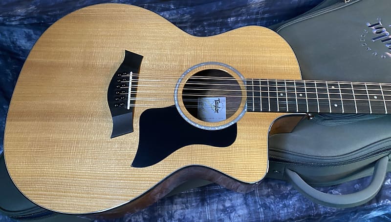 NEW ! 2024 Taylor 254ce Plus 12-string Acoustic-Electric Guitar - Authorized Dealer - 5.1lbs - G03738